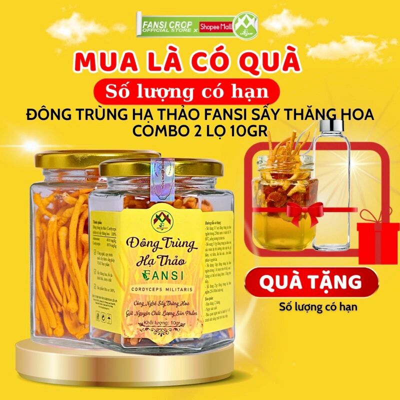 Đông Trùng Hạ Thảo Fansi Thượng Hạng - Tăng cường hệ miễn dịch